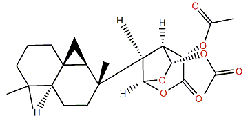 12-Acetoxypolyrhaphin C